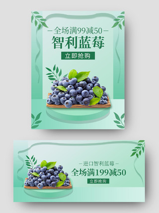 绿色简约小清新智利蓝莓水果海报